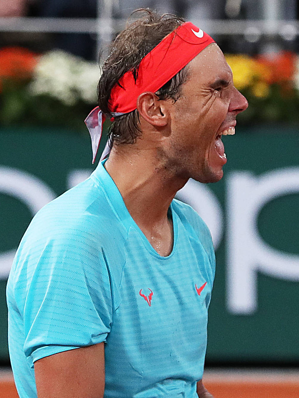 包含法国网球队轻取日本网球队，纳达尔高光表现的词条