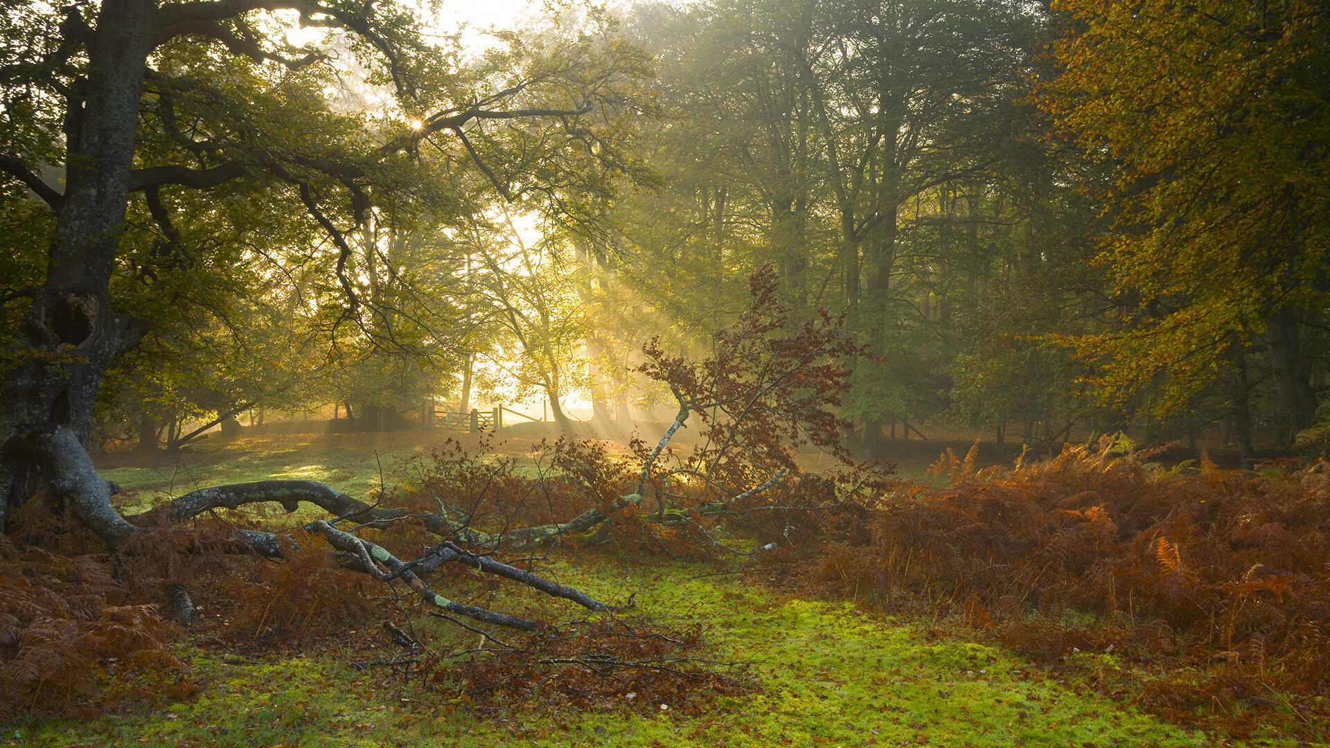 绝杀风暴眼，京多安点亮马赛之夜