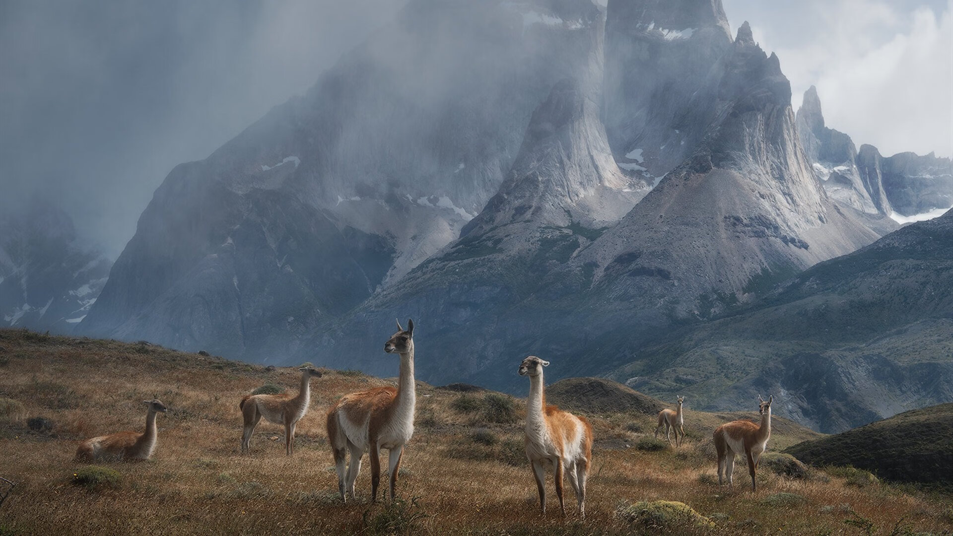 小舞台的压哨绝杀,大舞台的超级巨星—论竞技体育的场合之力