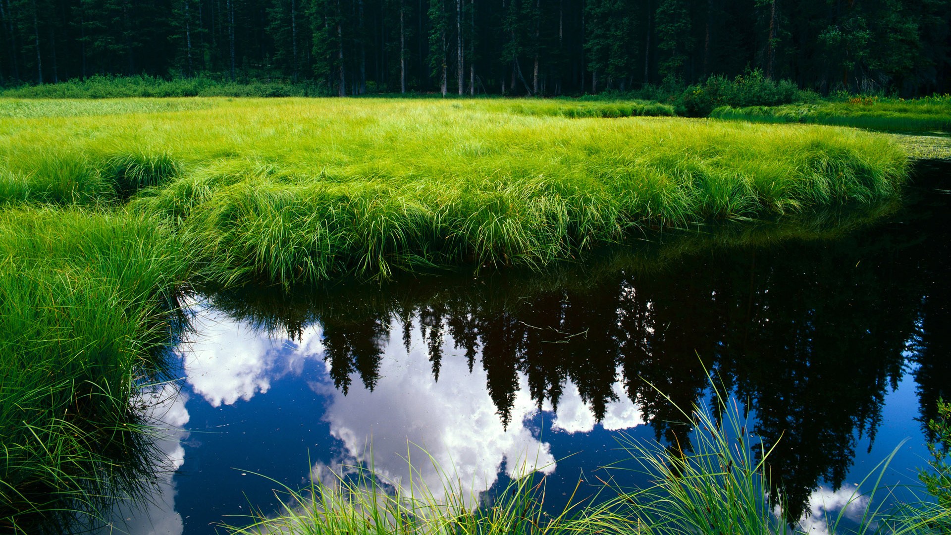 小舞台的压哨绝杀,大舞台的超级巨星—论竞技体育的场合之力