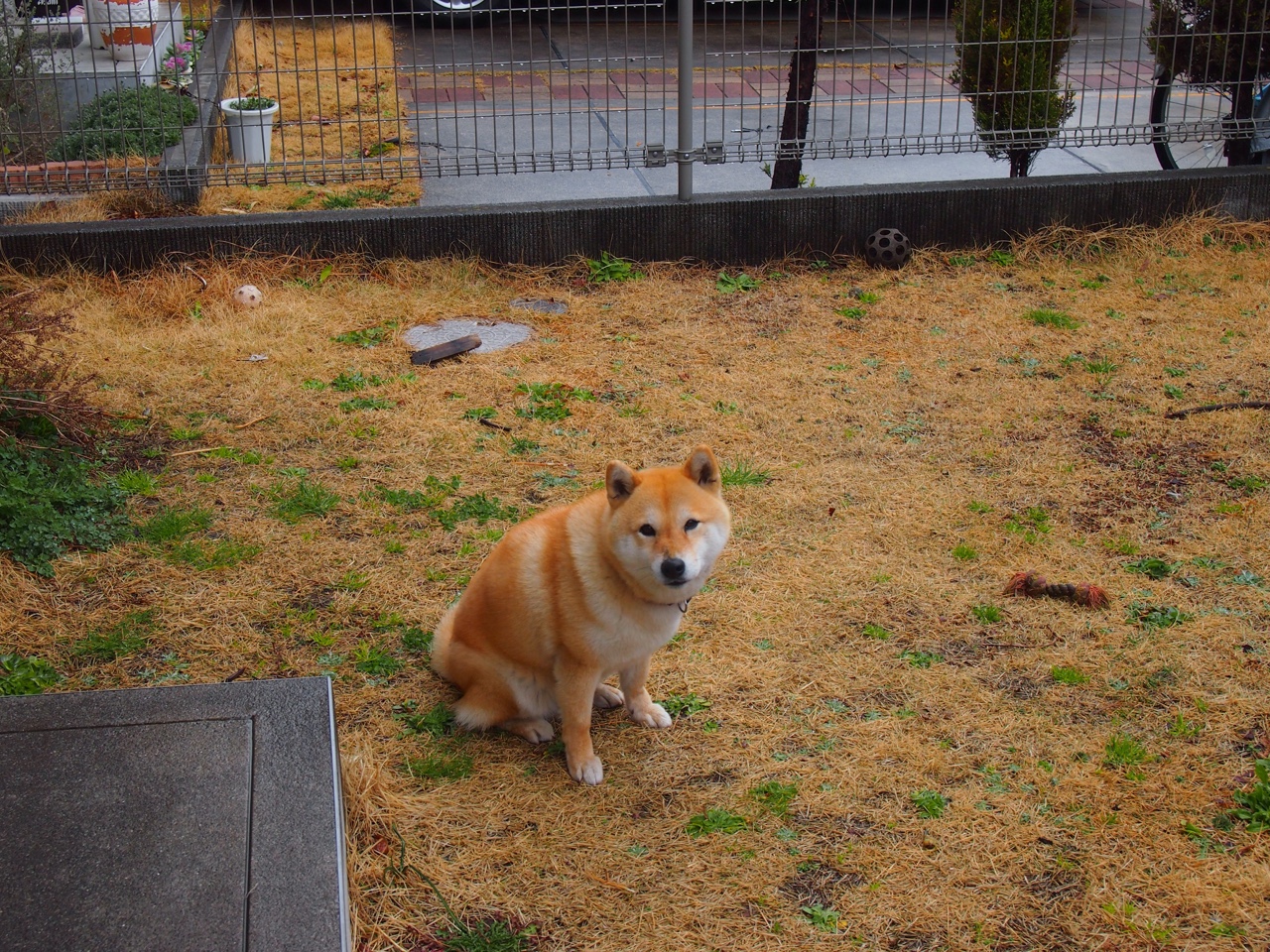 塔图姆神兵天降,热火力克猛龙破解魔鬼主场