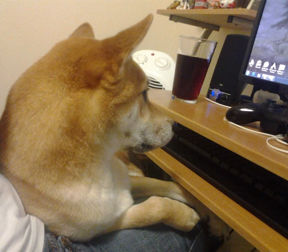 救赎之战!浙江绝境逢生,奇兵切特一战封神