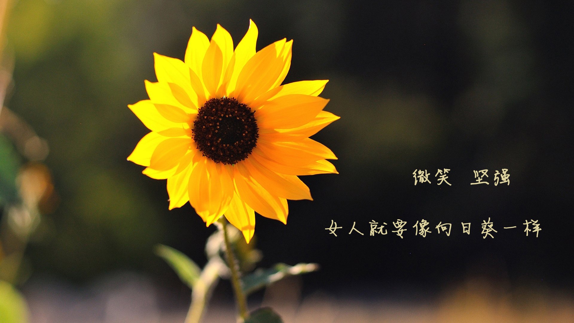 末节风暴!皇家社会逆转毕尔巴鄂,卡马文加绝杀定乾坤