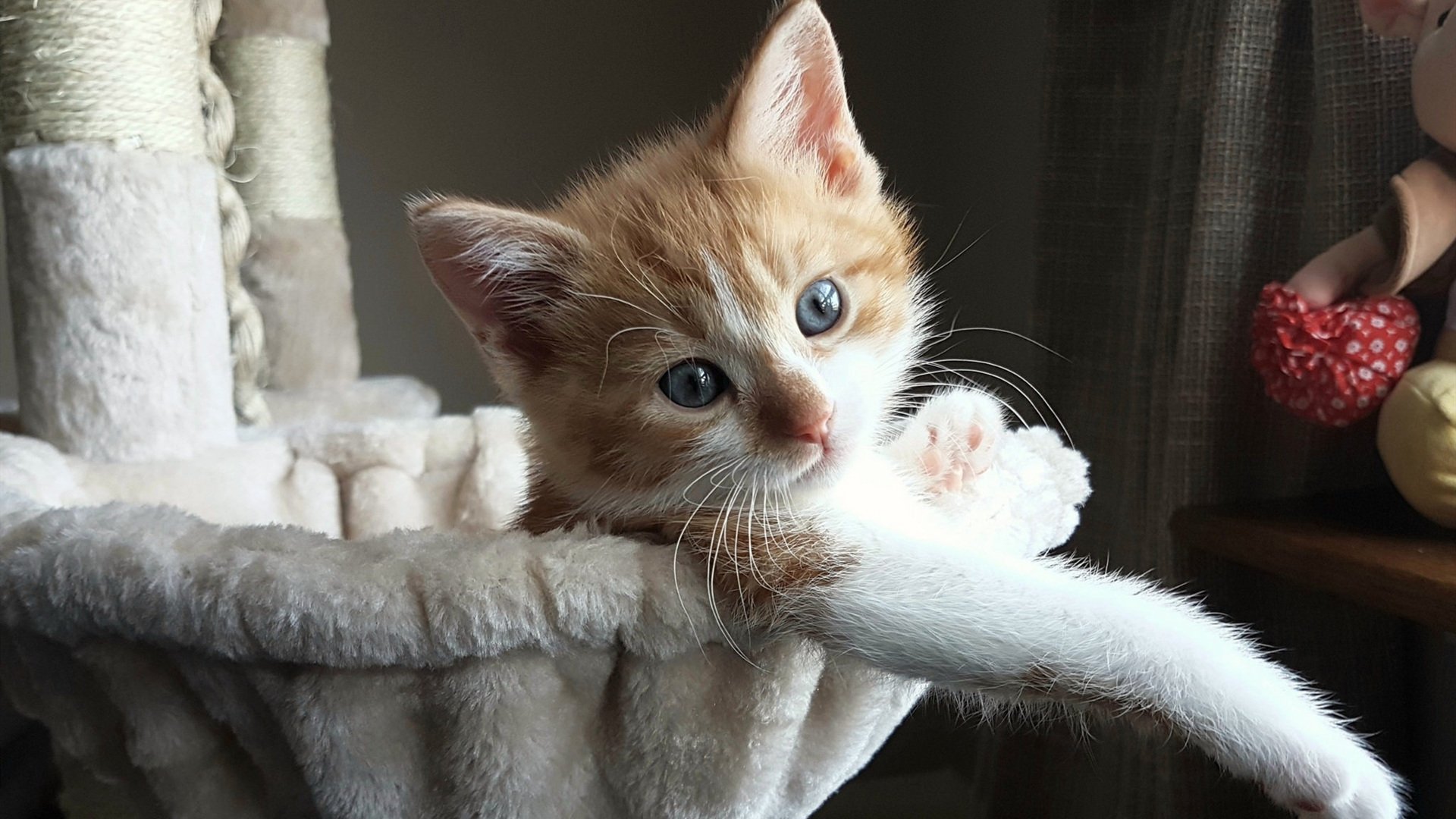 破局时刻,阿尔瓦雷斯化身关键先生,引领乌克兰球队马里力克逆境前行