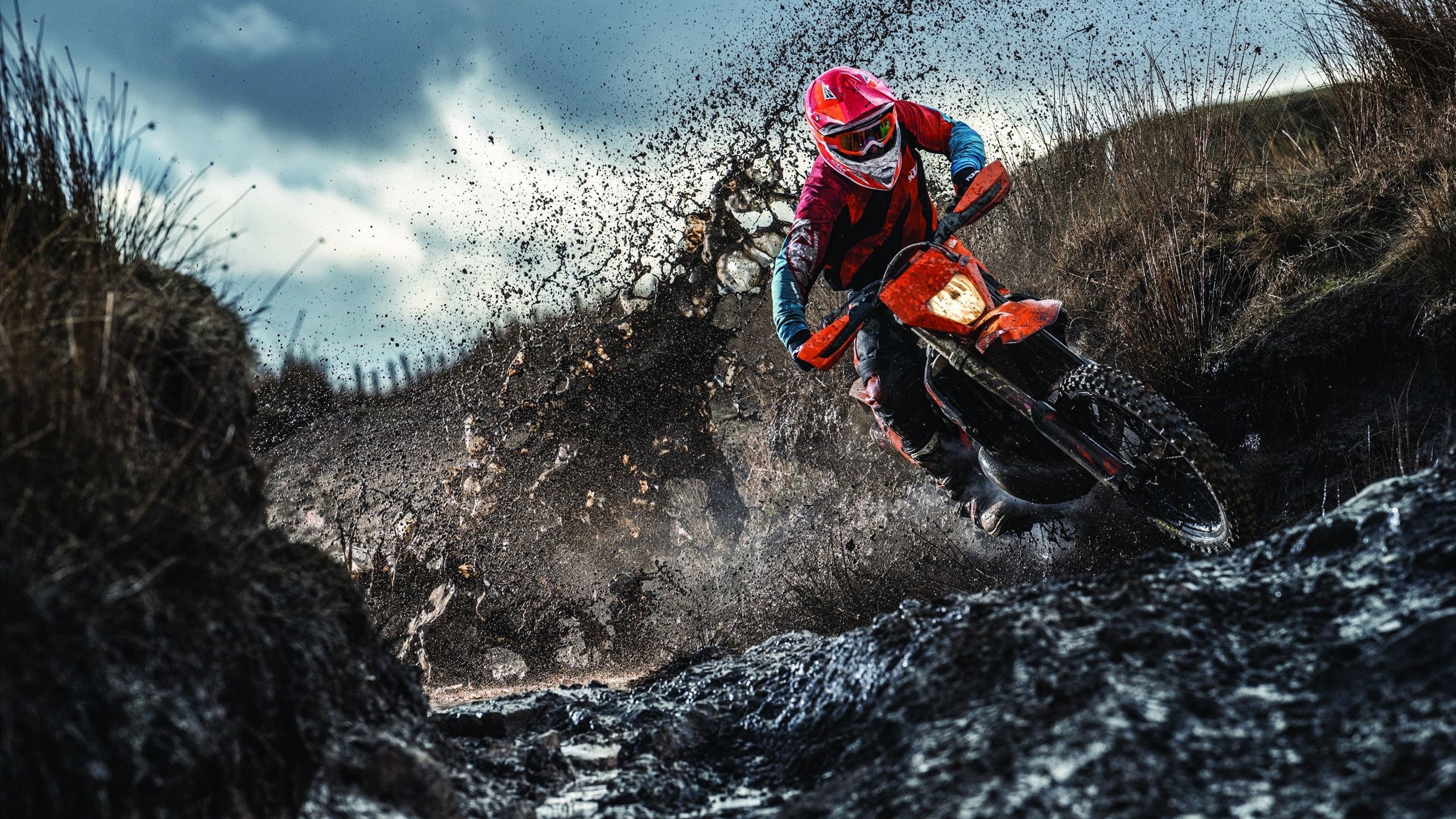 非洲雄鹰啄伤蓝鹰！那不勒斯防线遭尼日利亚双星肢解，奥亚尔萨瓦尔演绎完美进攻