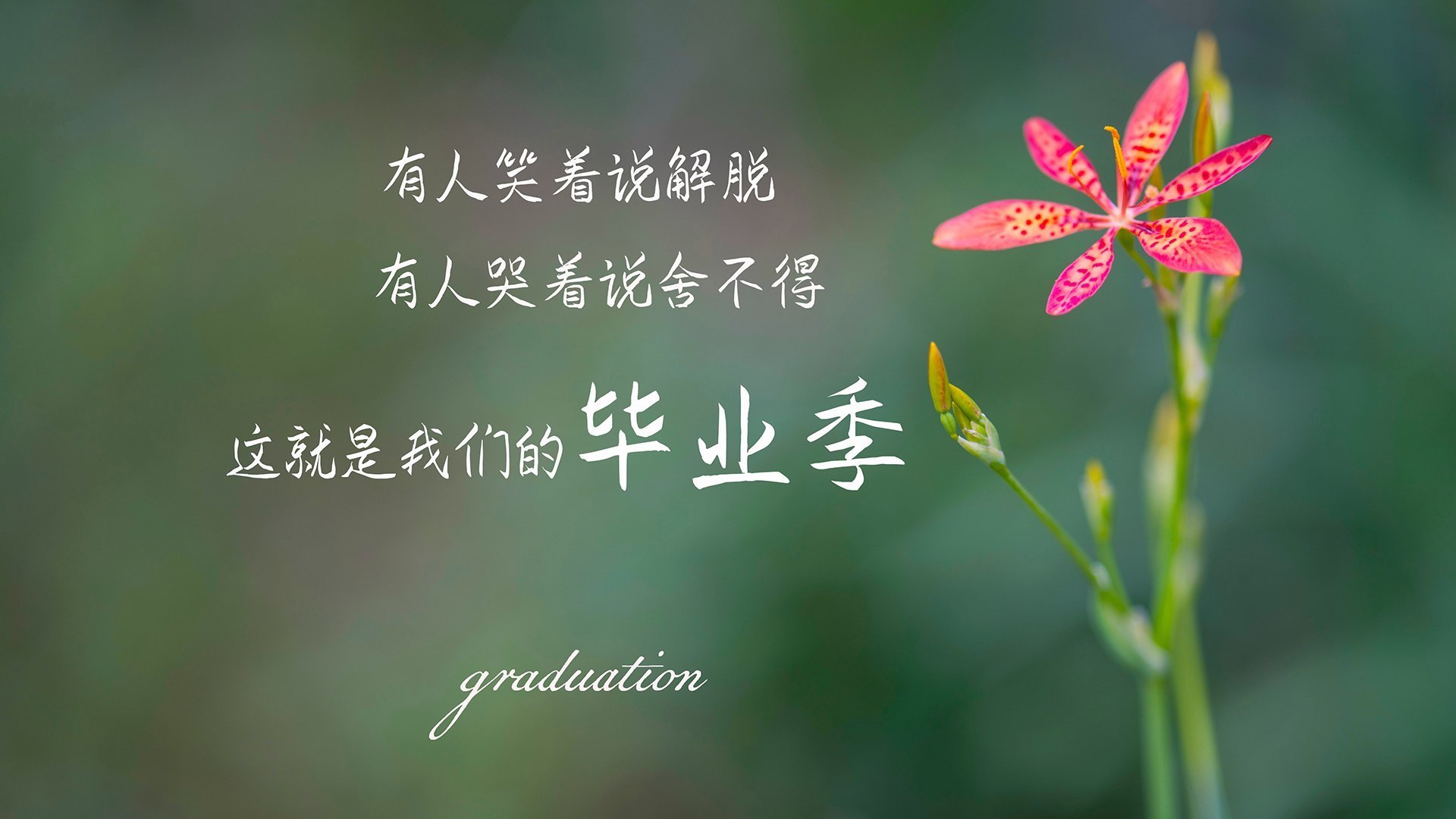 起跑线上，当文班亚马在F1引擎轰鸣中拨动马刺的节奏齿轮